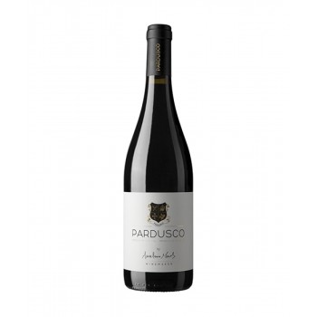 Anselmo Mendes Pardusco 2019