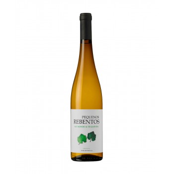 Pequenos Rebentos Alvarinho Trajadura 2022