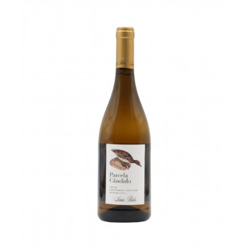 Luis Pato Parcela Cândido Branco 2015 Magnum