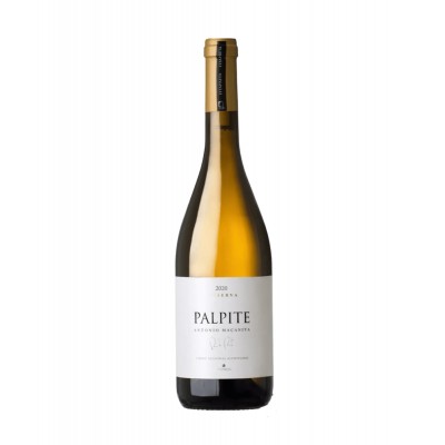 FitaPreta Palpite Branco 2022