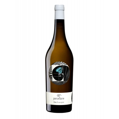 Johannes Zillinger Parcellaire Bl & SB 2021