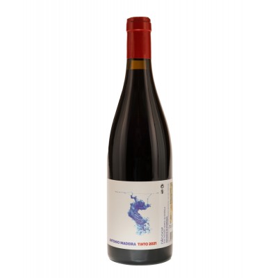 Antonio Madeira Tinto 2022
